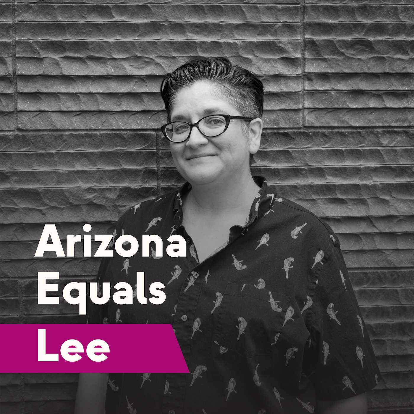 Arizona Equals Lee