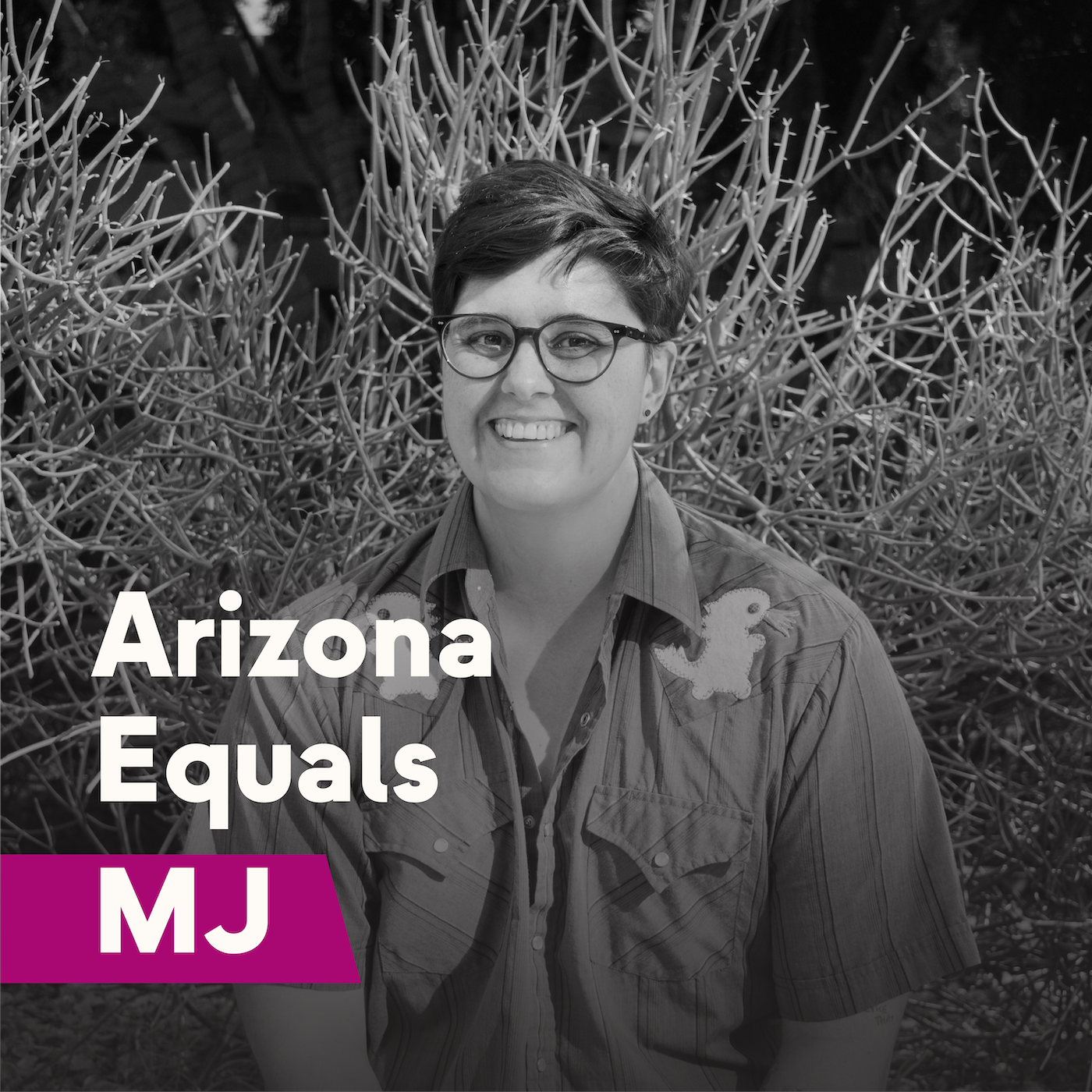 Arizona Equals MJ