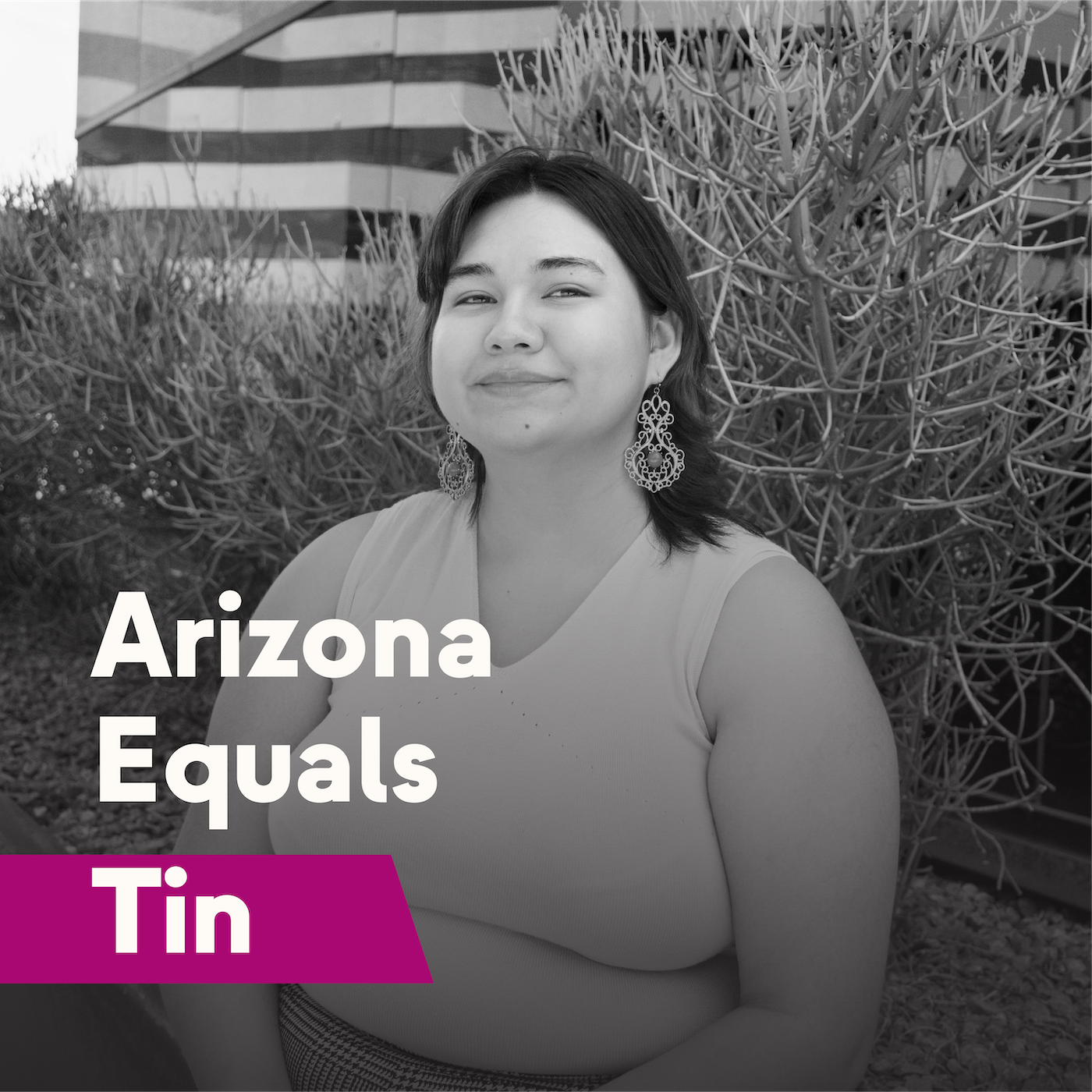 Arizona Equals Tin